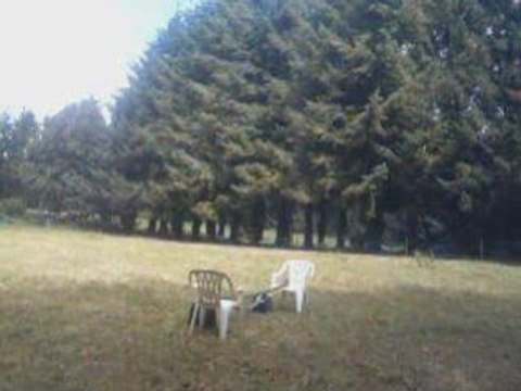 Saut avec Ma ponette :)