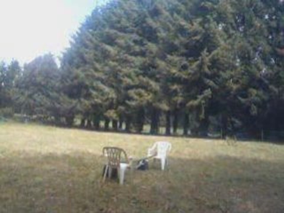 Saut avec Ma ponette :)