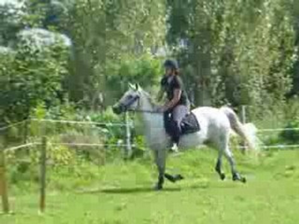 2008_082210090009