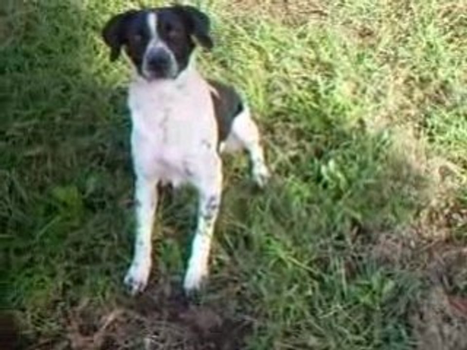 blackmoon docile qd il veut