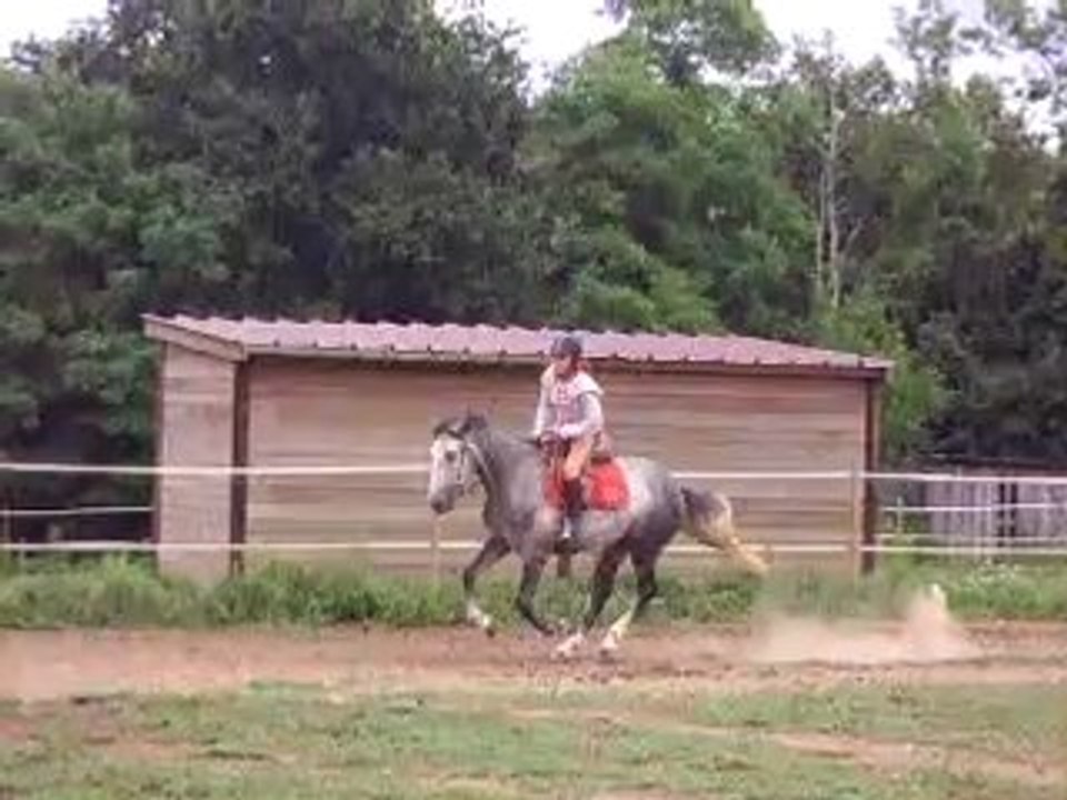 saut
