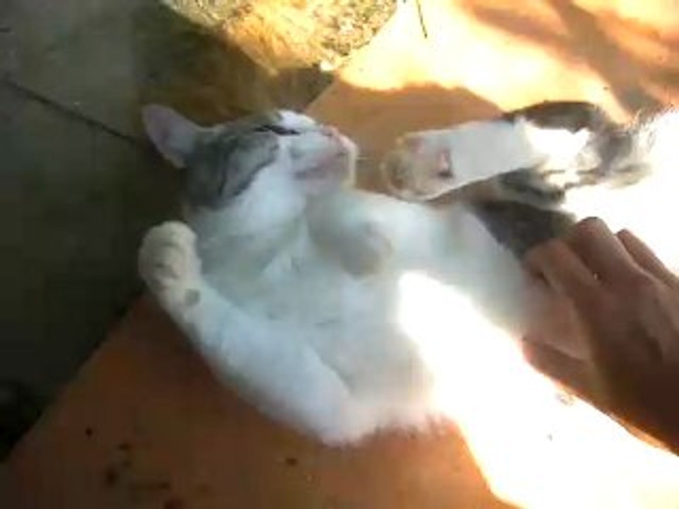Candy se roule