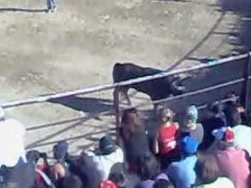 SOITO 2008