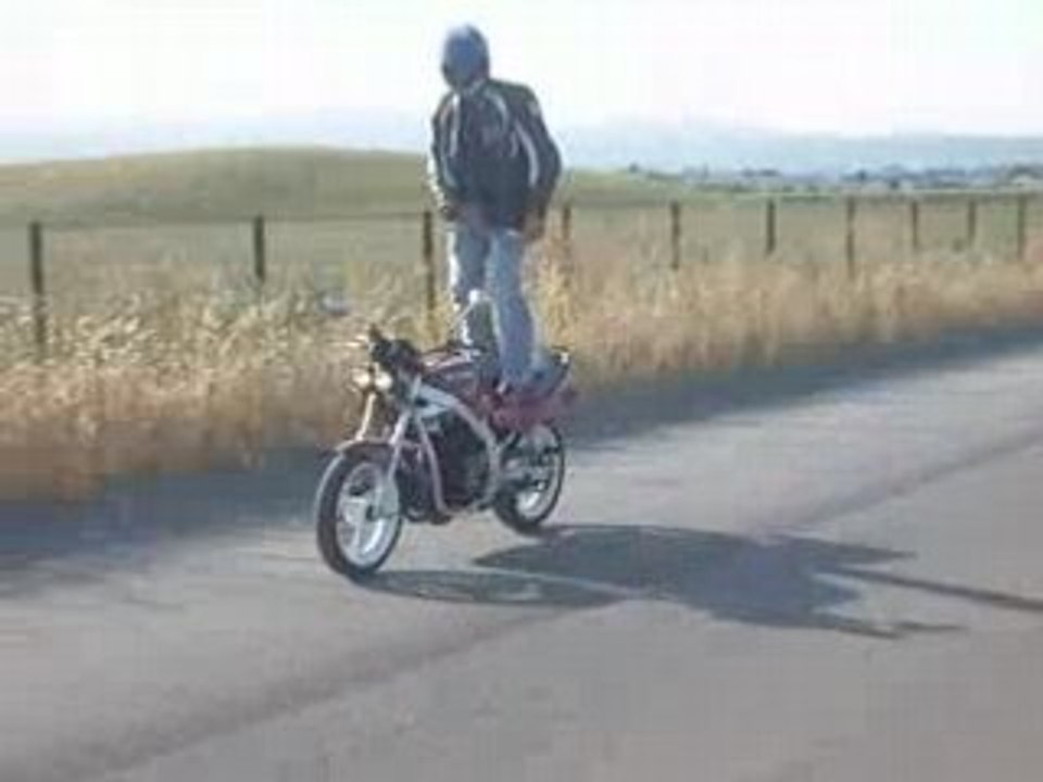 stunt sexy