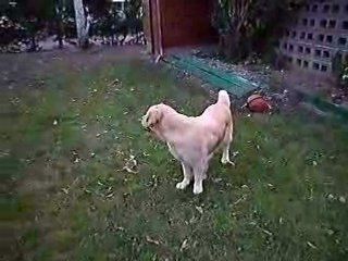 Loola joue au ballon