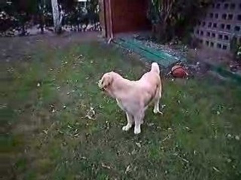 Loola joue au ballon