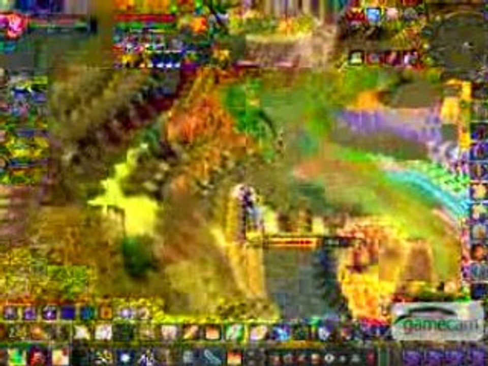 paladin vindicte