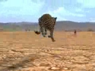 Afrika - Jeux Vidéo - Gameplay - Playstation 3