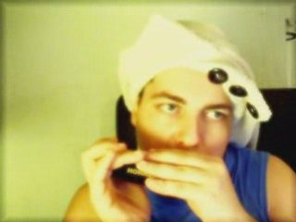 Harmonica - My Prince Will Come