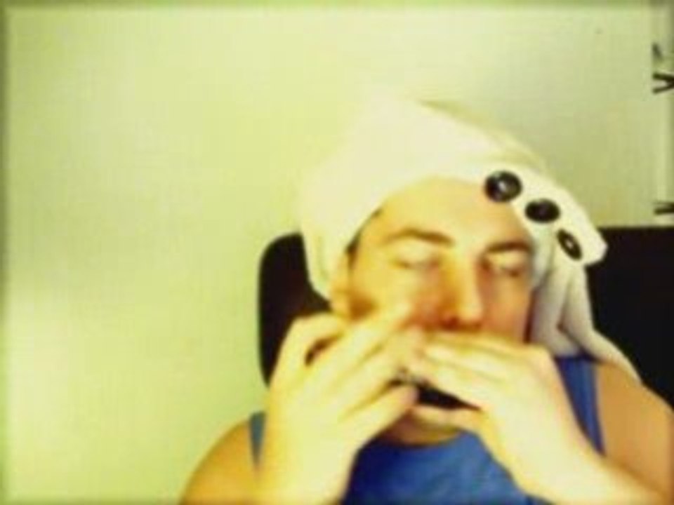 Harmonica - La non demande en mariage - Georges Brassens