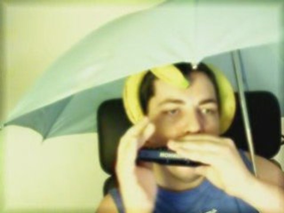 Harmonica - Moonlight Serenade