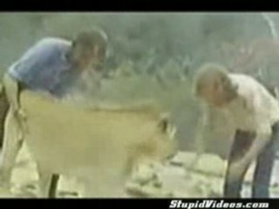 Lion_reunites_with_Humans[2]