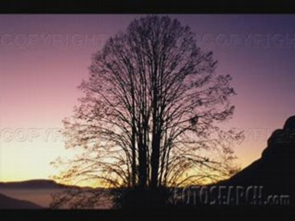 Missing You (own composition + autumn-images