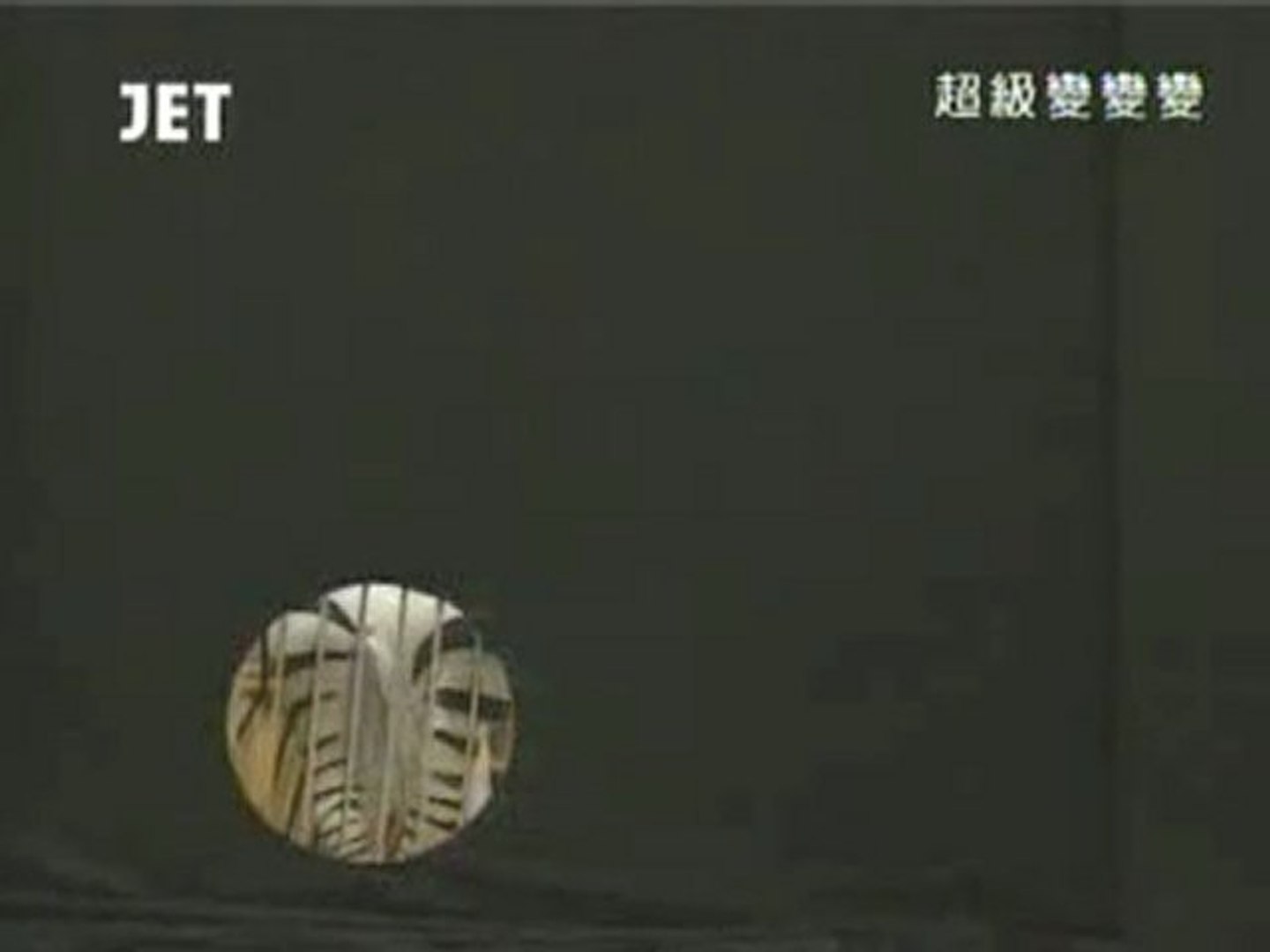 62回16番 真夜中の動物園 動画 Dailymotion