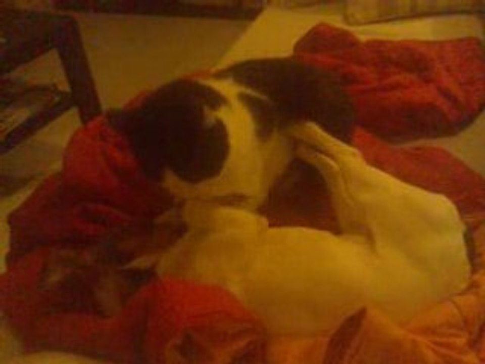 Louna nala3