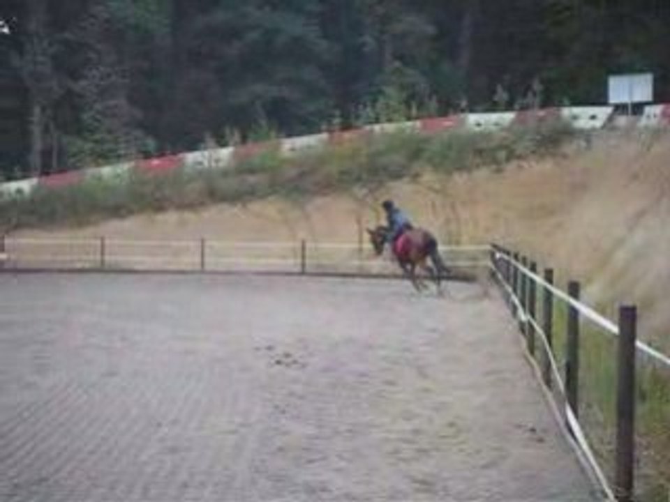 Frago cso
