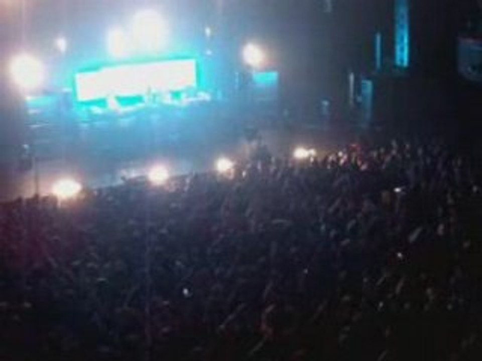 Birdy nam nam