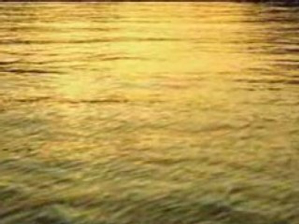 やなわらばー  海岸通