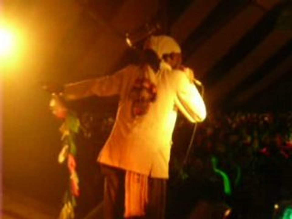 Natty King @ Reggae Sundance 2008- Sell Out (Vitamin riddim)