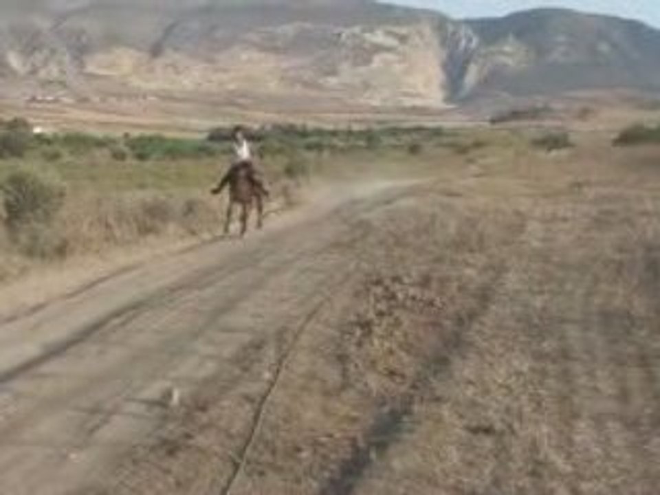 petit galop en Algérie