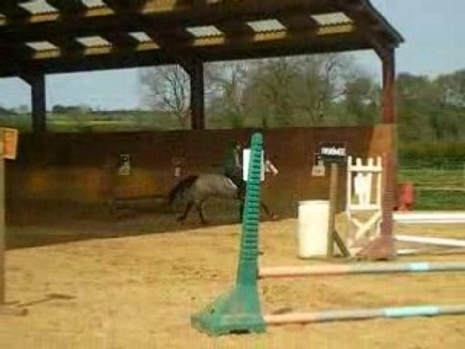 DSCF0246