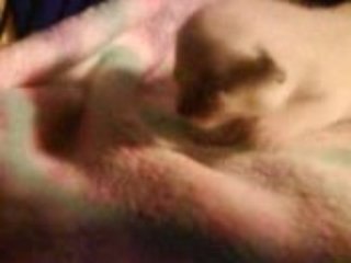 Bébés siamois à  9jours de vie parmis nous