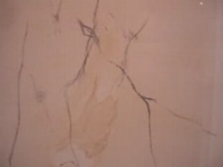 Arnaud Barbé sept 2008