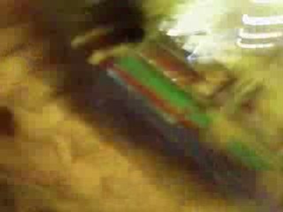 Lalala (L)