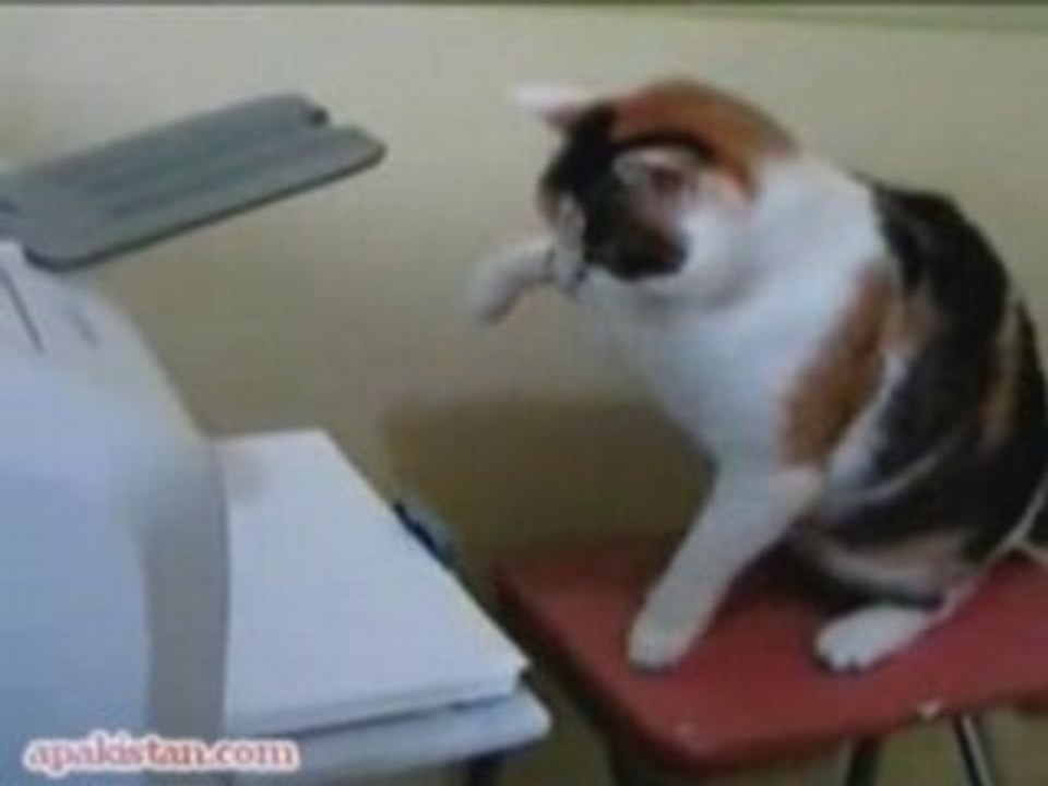 PussyCat Vs Printer
