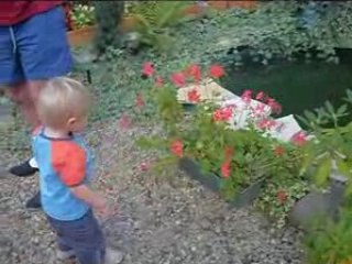 Dans le jardin de mamie en video