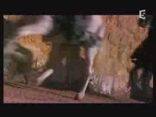 La Fin Des Cathares (2 sur 3)