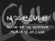 Molecule  Salon de la musique et du son Paris dub reggae dub