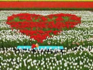 - Жизнь за тебя