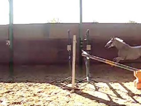 Pepette en Liberté, 1m20