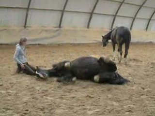 Fio couché a cheval 09/08