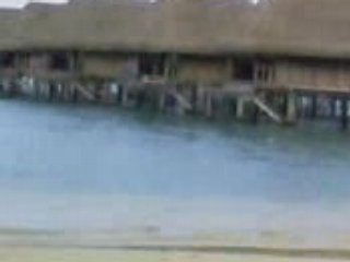 disconico around the world MOOREA  TOUR swimming pool