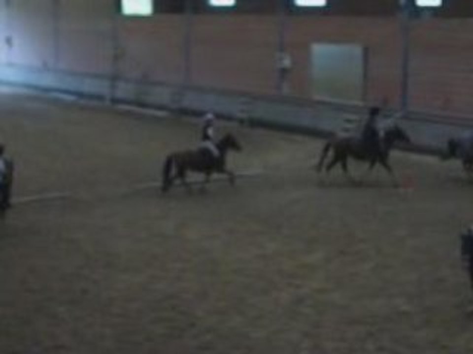 galop quelle envy loreen