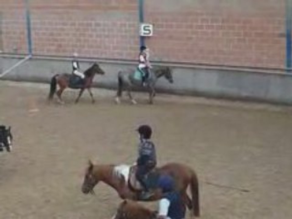 moi au pré avec les poon's