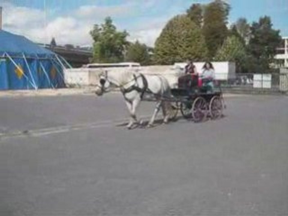 Gringo à Chalons en champagne