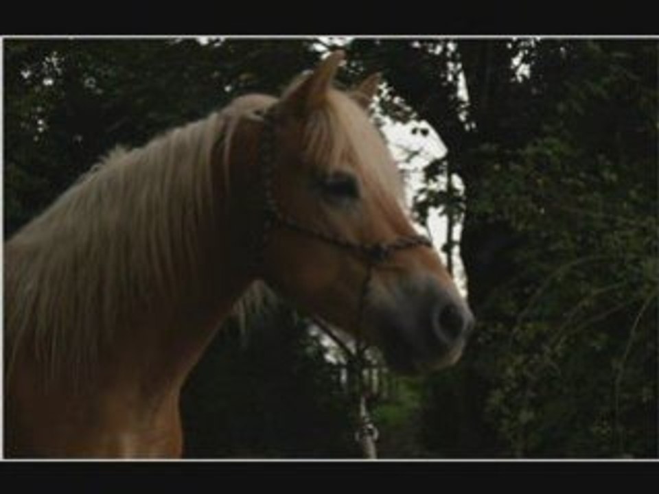 Ballade 10-09