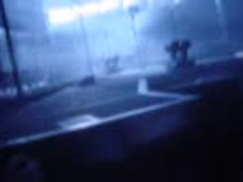 TokioHotel- Amnéville - Übers Ende Der Welt (1)