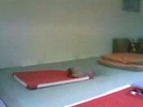 Double salto avant de mich mich