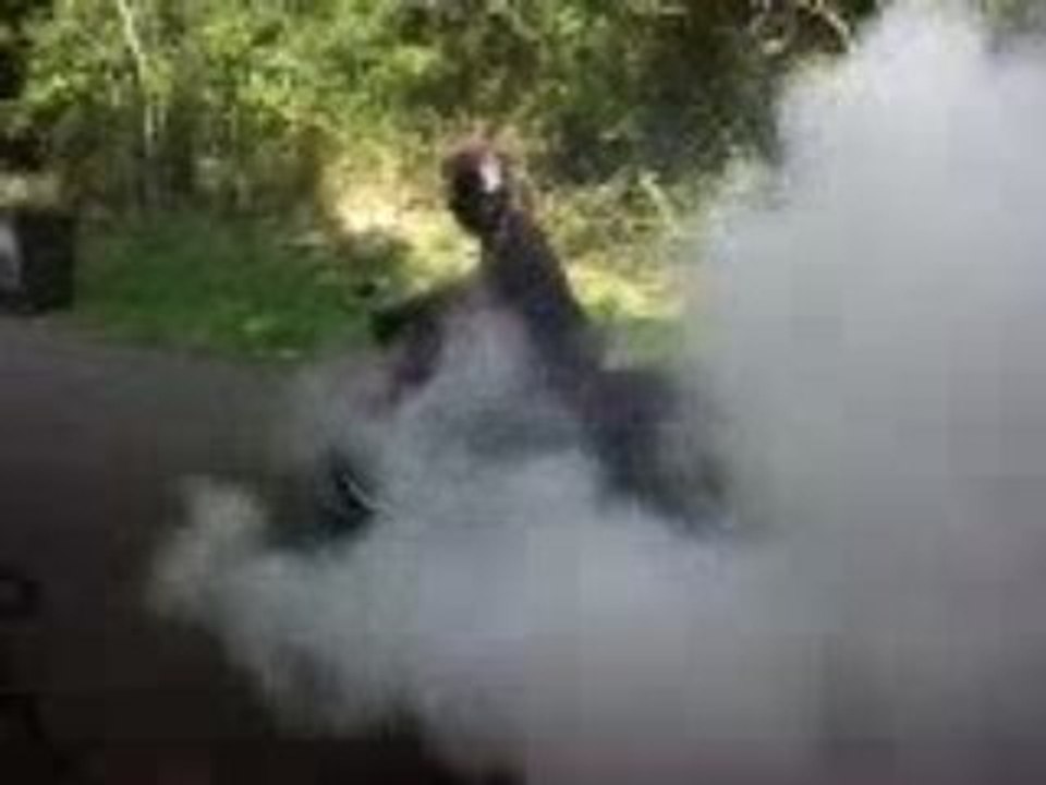 600 diversion burn
