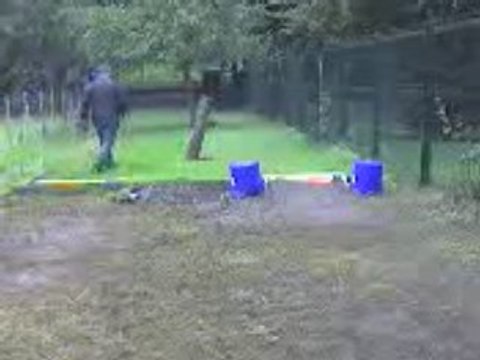 Kyosho Inferno st us sport