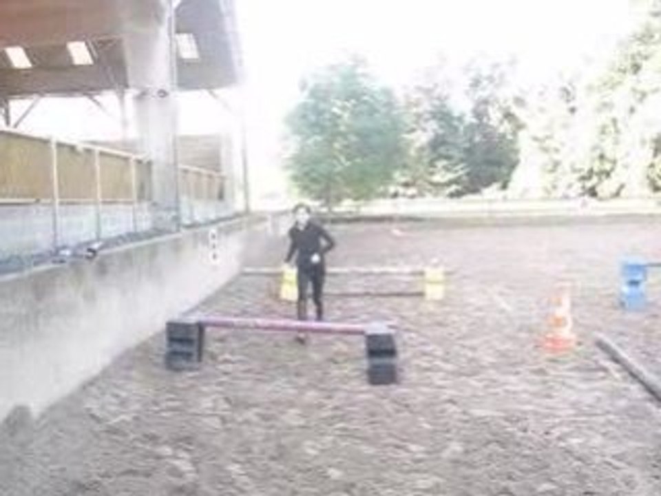 Moi qui saute un obstacle