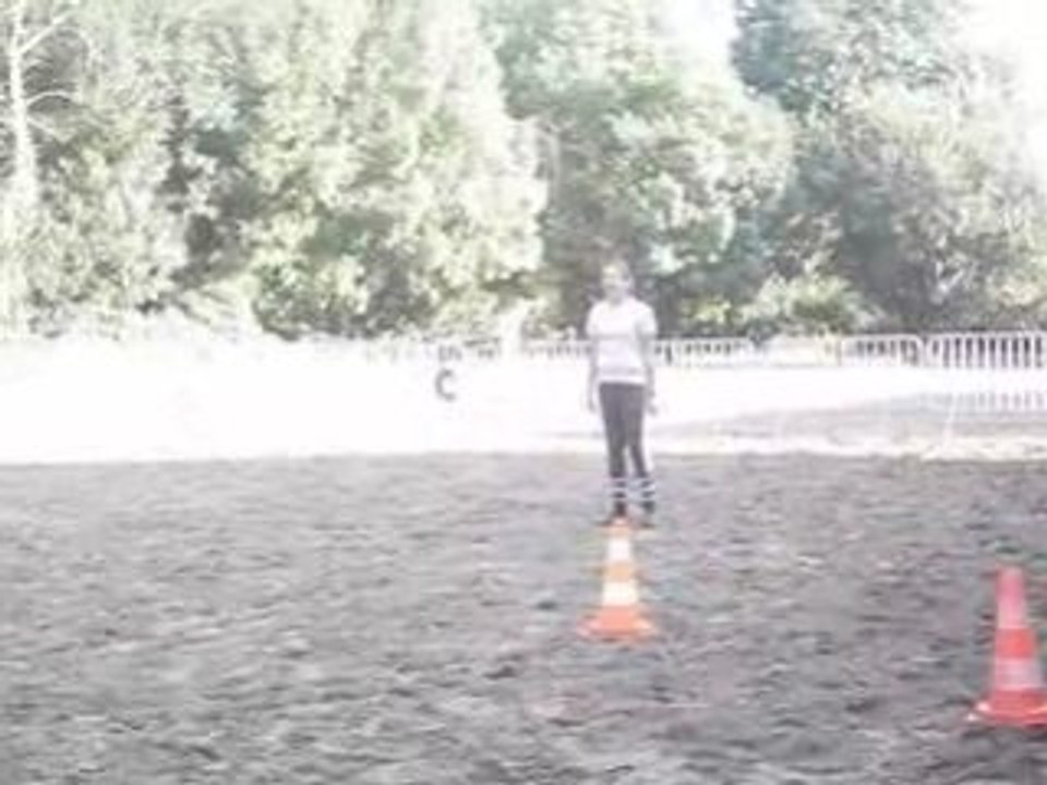 Jade qui saute encore.  :D