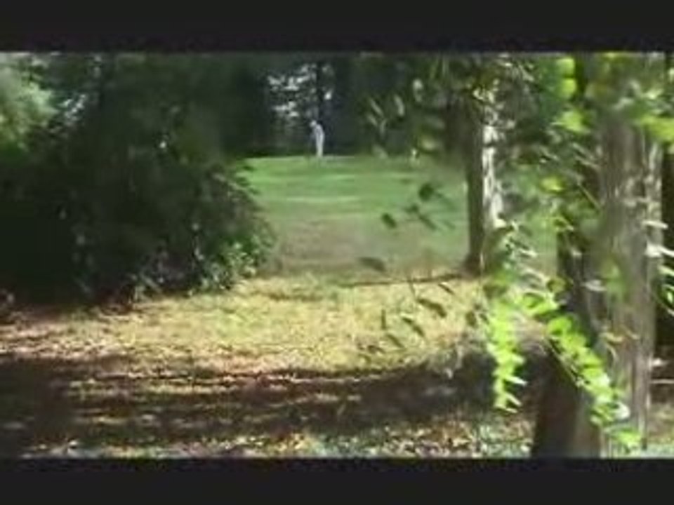 Bretagne équipes 2008