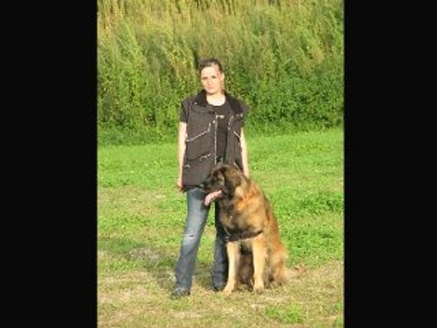 CLUB CYNOPHILE SION VALAIS