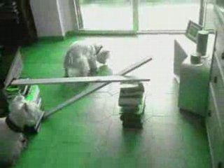 Eli0tt En (Gros) Déélir℮℮s xD