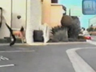 Skateboarding - X-Games